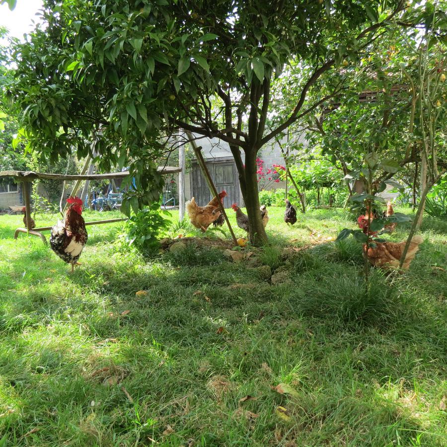 Agroturismo La Casona De Belmonte Овиньяна Экстерьер фото
