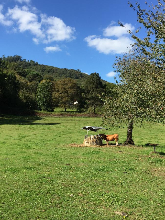 Agroturismo La Casona De Belmonte Овиньяна Экстерьер фото